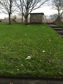 12631384_1115737195103503_5302009938074236508_n