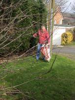 12717859_1132166503460572_2865755106241580130_n