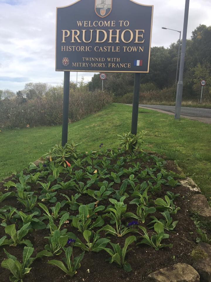 22310204_1731349043542312_3005704343701120168_n