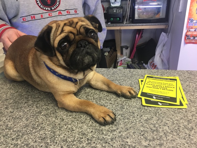 EDEEEF99-C045-40F3-9594-3F5C4BF358F9