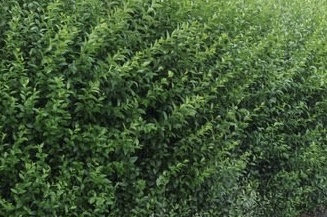 E60F7AE0-25D5-4622-B067-96AF36CB75BD