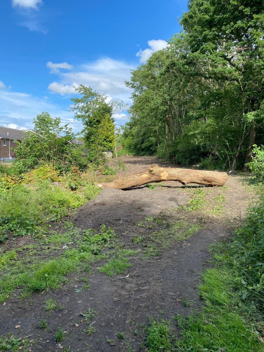 B0A91279-4E6A-4474-BE2A-FF19AB5F88FA